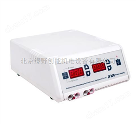 基礎型電(dian)泳儀